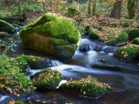 Riesiger Felsklotz im Höllbach